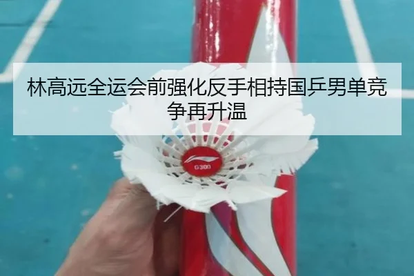 林高远全运会前强化反手相持国乒男单竞争再升温